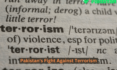 terrorism vs pakistan