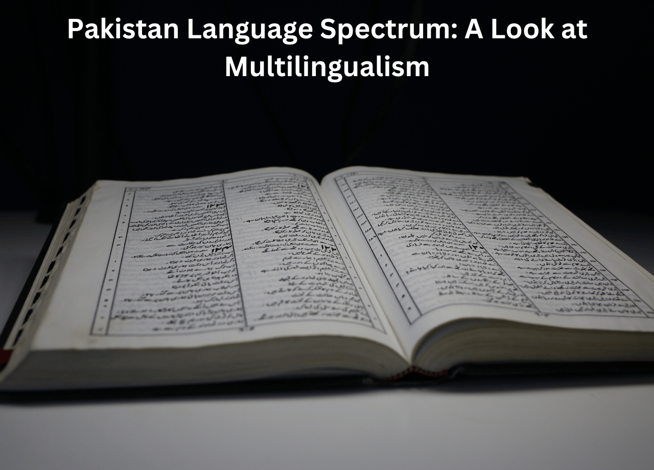 Pakistan Language