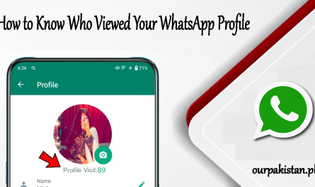 How to Know Who Viewed Your WhatsApp Profile Today?